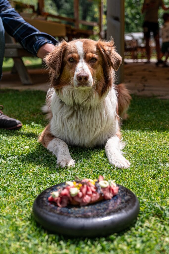 Piatti cucina valtellinese